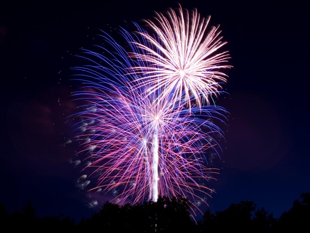 Яркий разноцветный салют в ночном небе