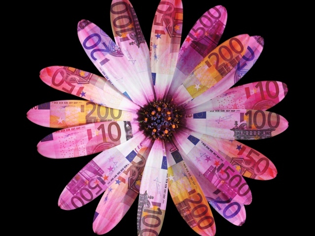 Цветок из купюр евро на черном фоне
