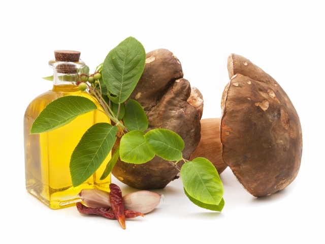 Грибы на белом фоне с оливковым маслом и чесноком