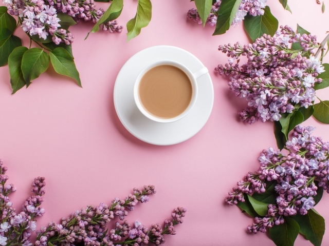 Белая чашка с какао на розовом фоне с цветами сирени