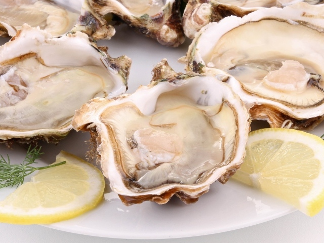 Устрицы с лимоном и укропом на белой тарелке