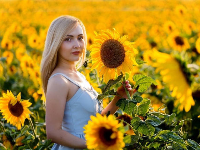 Красивая блондинка в цветущих подсолнухах 