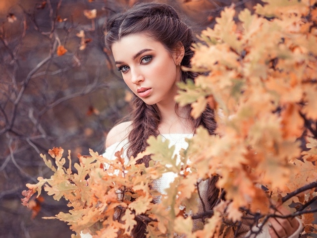 Красивая девушка с косами на фоне желтых листьев 