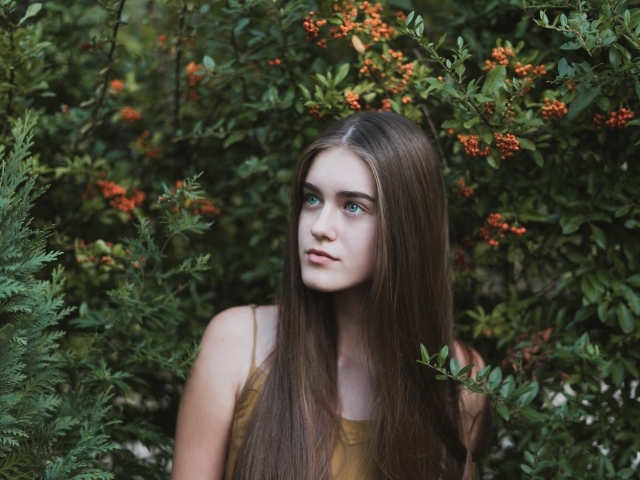 Молодая нежная девушка с длинными волосами в зеленых зарослях 