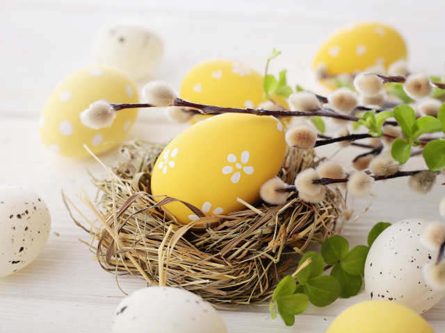 Ветка вербы с крашеными яйцами к празднику Пасха