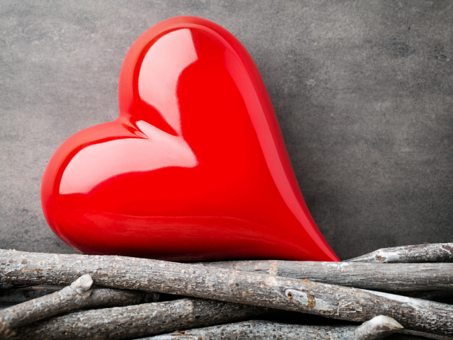 Большое красное сердце лежит на ветках на фоне серой стены