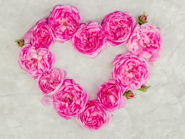 Сердце из розовых роз на сером фоне