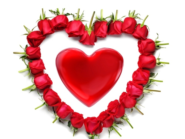 Красные розы вокруг красного сердца на белом фоне