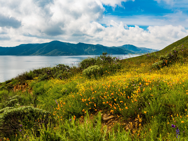 Зеленая трава на берегу озера у гор под голубым небом с облаками 