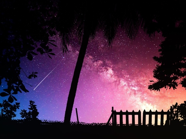 Силуэты деревьев на фоне звездного неба