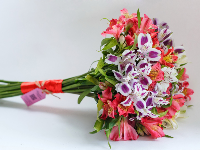 Букет цветов альстромерия на сером фоне 