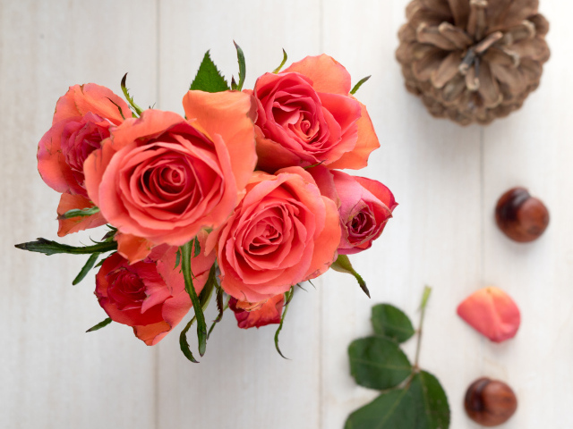 Букет розовых роз на столе с каштанами и шишкой