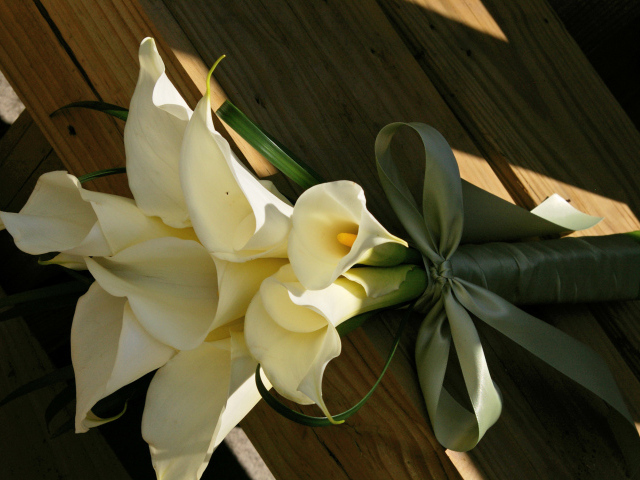 Букет белых калл на деревянной лавке