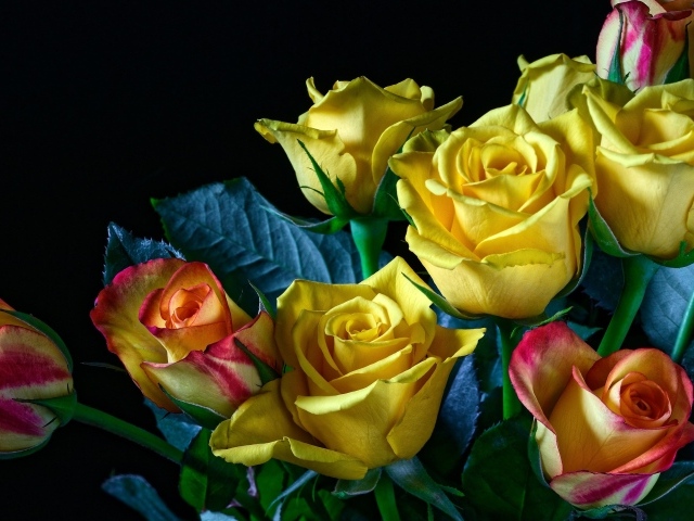 Букет желто - розовых роз на черном фоне