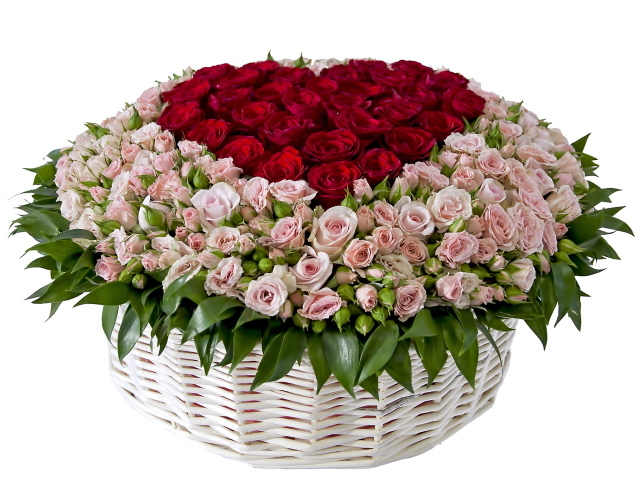 Огромный букет с розовыми и красными розами в корзине на белом фоне