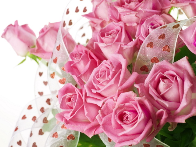 Большой красивый букет розовых роз с атласной лентой на белом фоне