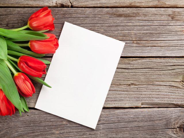 Букет красных тюльпанов с белым листом шаблон для открытки