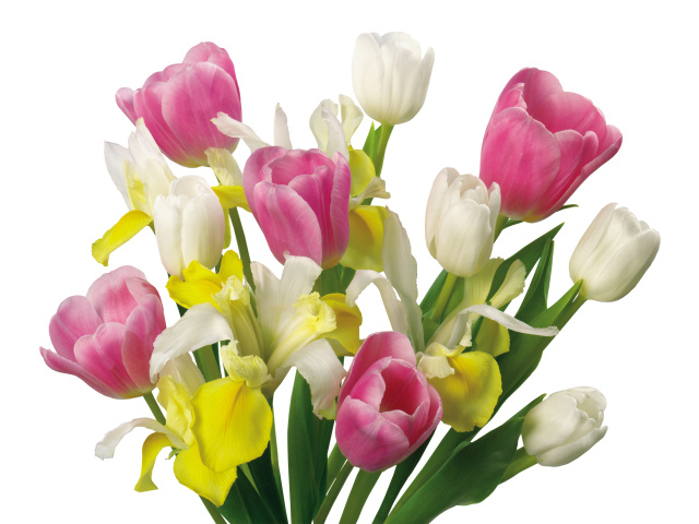 Букет желтых и розовых тюльпанов и ирисами на белом фоне
