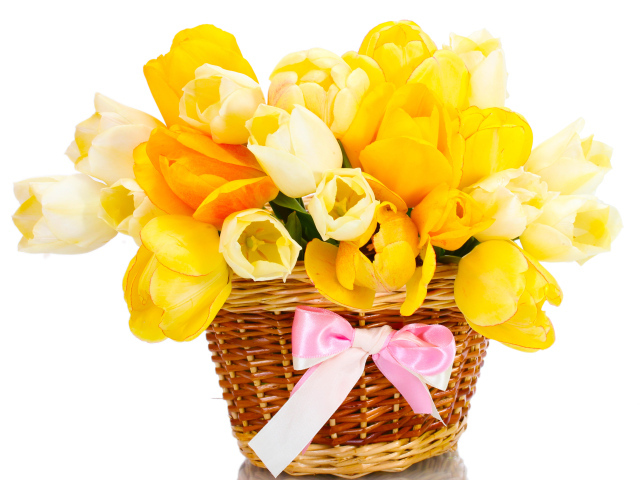Букет желтых и белых тюльпанов в корзине с розовым бантом на белом фоне
