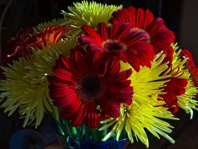 Букет желтых хризантем с красными герберами 