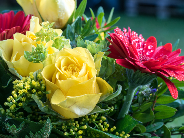 Букет желтых роз с красными цветами герберы 