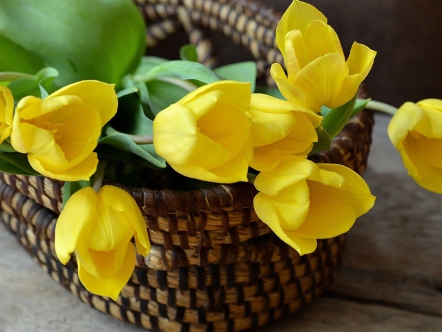 Букет желтых тюльпанов в корзине на столе