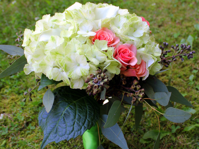 Букет с белыми цветами гортензии и розовыми розами