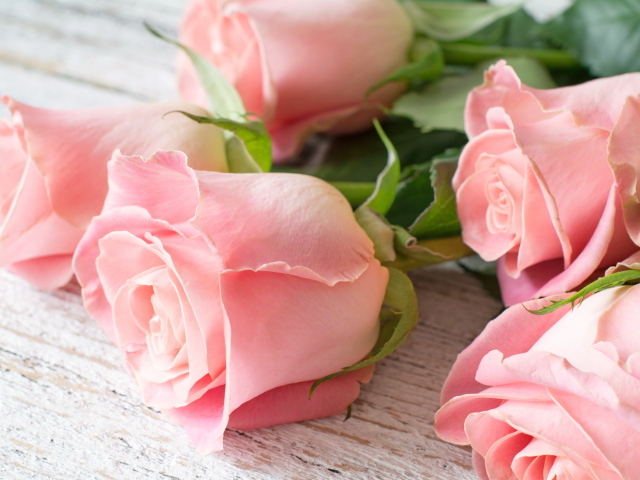 Пять красивых розовых роз лежат на деревянном столе