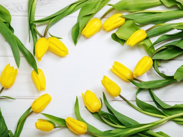 Много желтых тюльпанов с зелеными листьями на сером столе