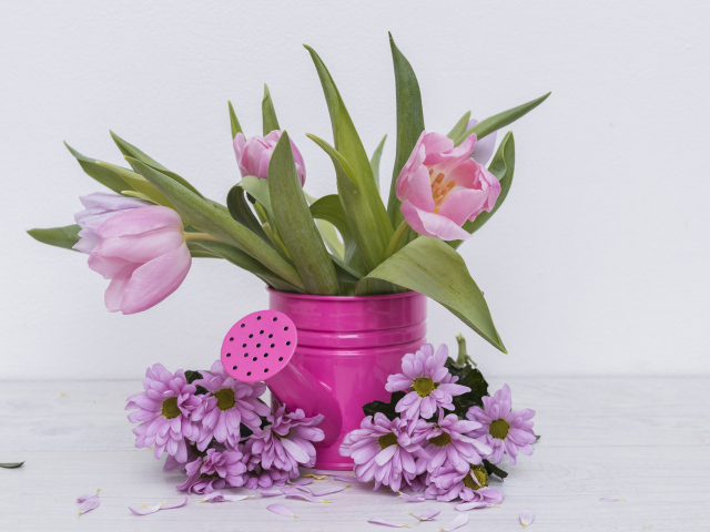 Розовые тюльпаны с цветами хризантемы на сером фоне