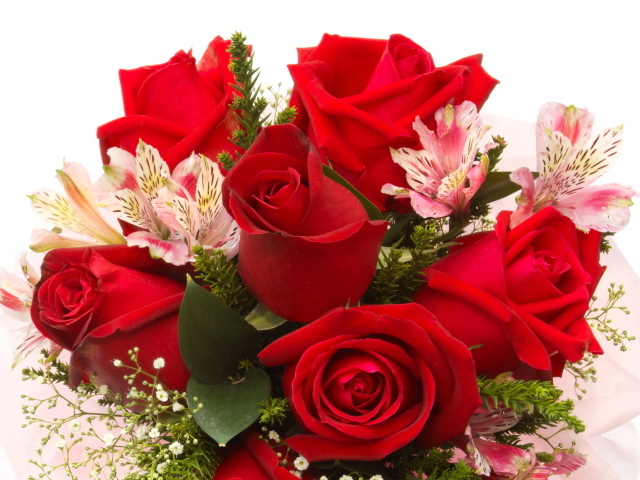 Красные розы с цветами альстромерии на белом фоне