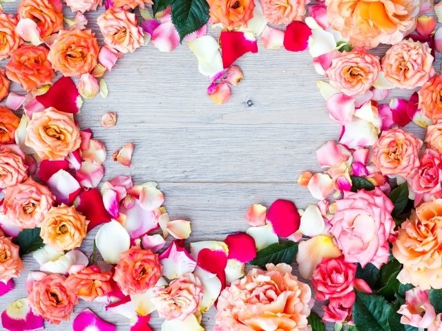 Бутоны роз на сером фоне крупным планом