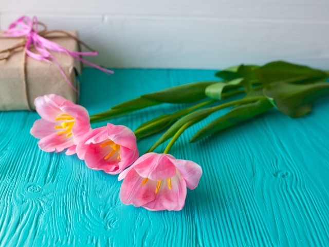 Три розовых тюльпана на голубом столе с подарком