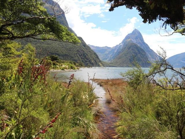Вид на горы и озеро из лесных зарослей