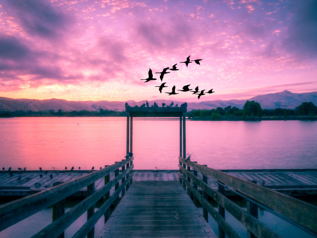 Стая птиц пролетает мимо красивого озера на закате