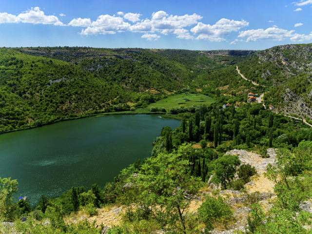 Озеро в живописном зеленом парке под голубым небом 