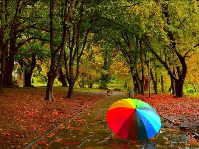 Разноцветный зонт в осеннем парке