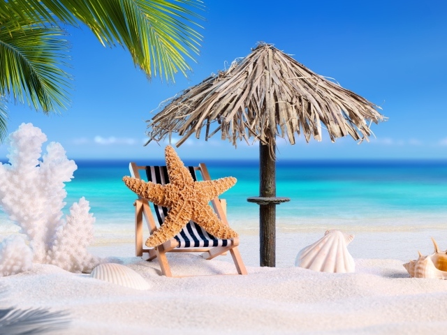 Коралл, морская звезда и ракушки загорают на белом песке летом