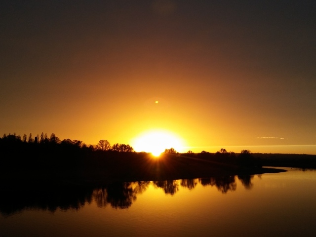Силуэты деревьев отражаются в воде на закате солнца