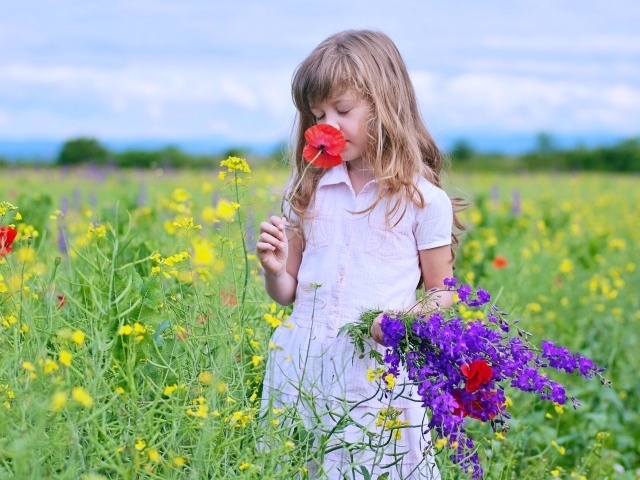 Маленькая девочка собирает на поле полевые цветы