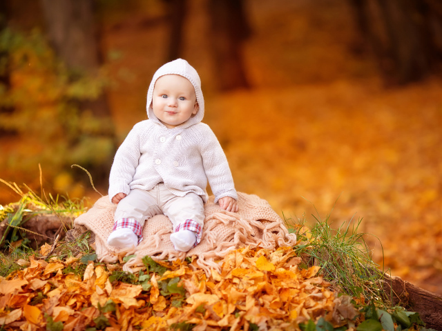 Маленький ребенок сидит на листве осенью 