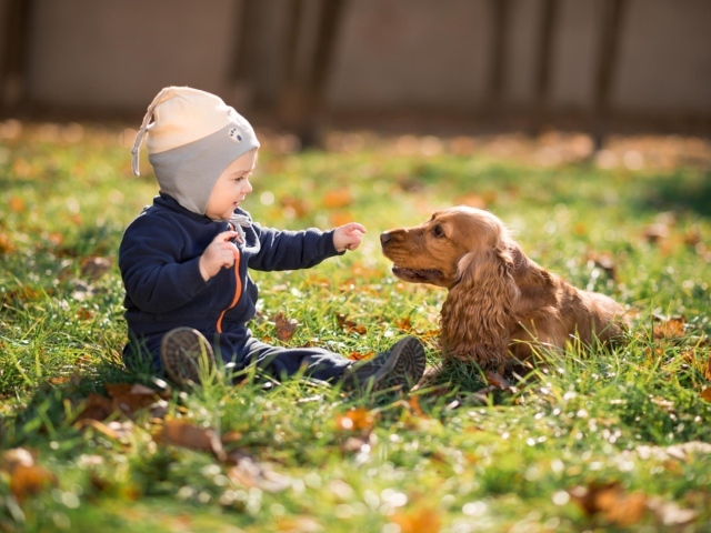 Маленький мальчик сидит на траве с собакой 