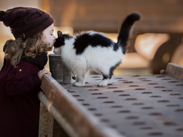 Маленькая девочка целует котенка 