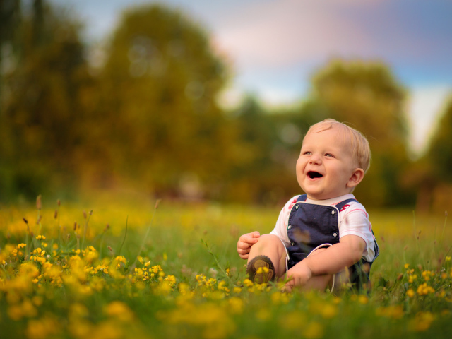 Маленький смеющийся мальчик сидит на траве с желтыми цветами