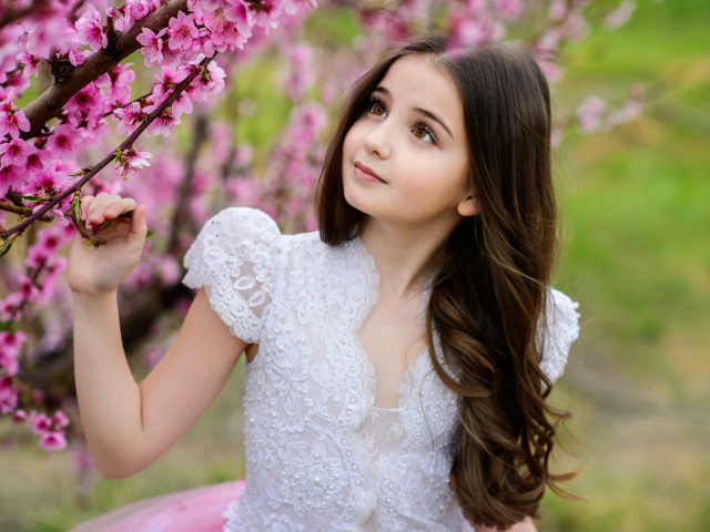 Маленькая длинноволосая девочка у дерева с розовыми цветами