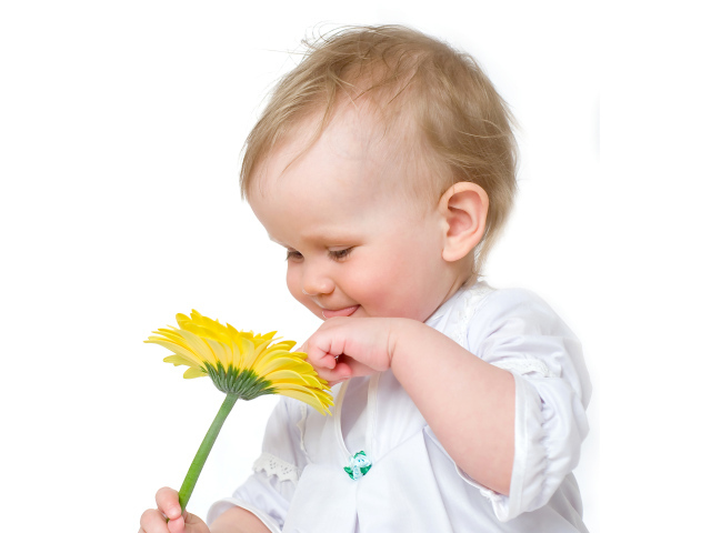 Улыбающийся малыш с желтым цветком герберы на белом фоне