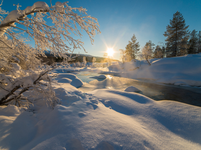 Берега с заснеженными деревьями у реки под ярким зимним солнцем