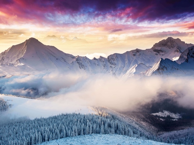 Туман над лесом у заснеженных гор зимой