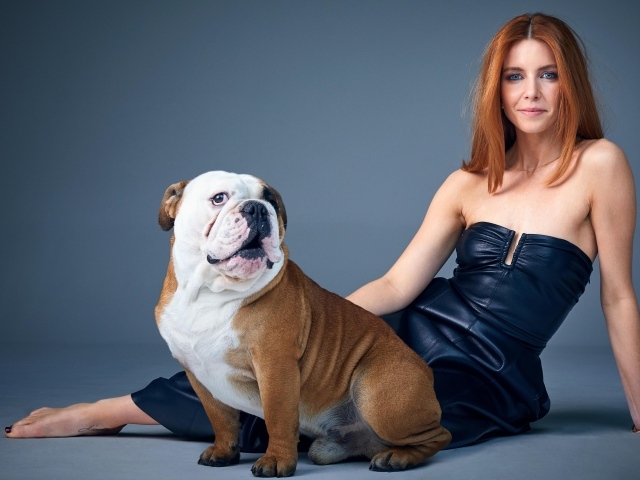 Телеведущая Стейси  Дули с бульдогом на сером фоне