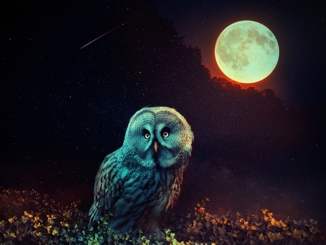 Сова  сидит на траве на фоне большой луны